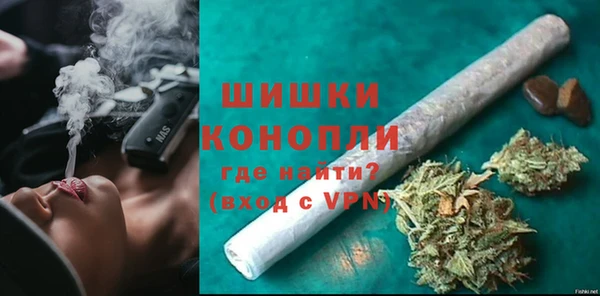 прущие грибы Волоколамск