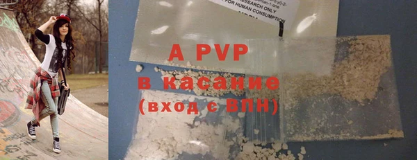 прущие грибы Волоколамск