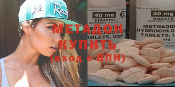 прущие грибы Волоколамск