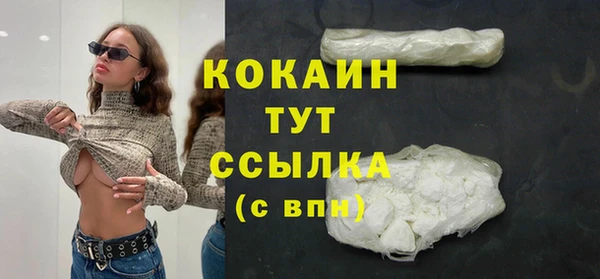прущие грибы Волоколамск