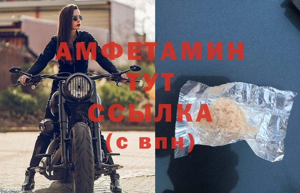 прущие грибы Волоколамск
