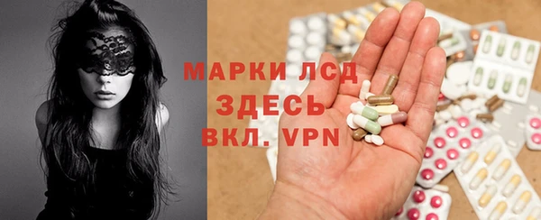 прущие грибы Волоколамск