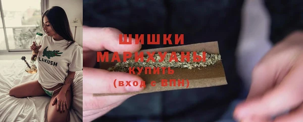 прущие грибы Волоколамск