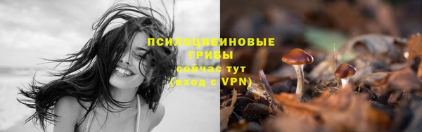 jwh Волосово