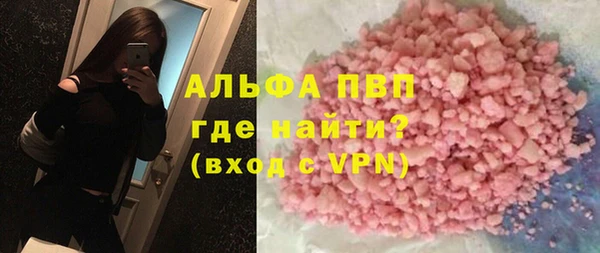 прущие грибы Волоколамск