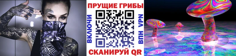 Купить закладки Лениногорск Псилоцибиновые грибы Psilocybine cubensis